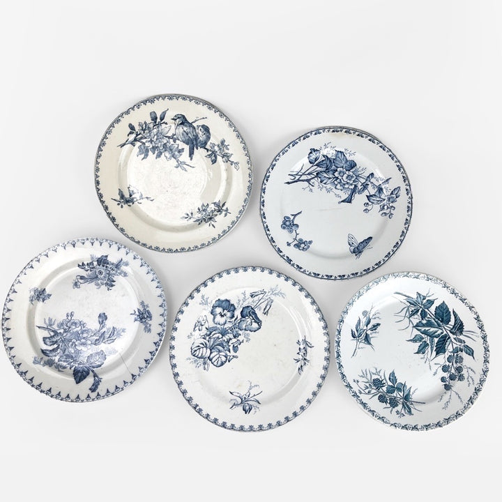 5 assiettes dépareillées Terre de fer 1900