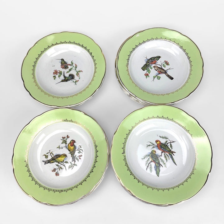 Lot d'assiettes creuses Lunéville Badonviller motifs oiseaux exotiques d'après John Gould