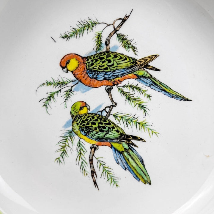 Lot d'assiettes creuses Lunéville Badonviller motifs oiseaux exotiques d'après John Gould