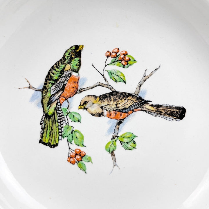 Lot d'assiettes creuses Lunéville Badonviller motifs oiseaux exotiques d'après John Gould