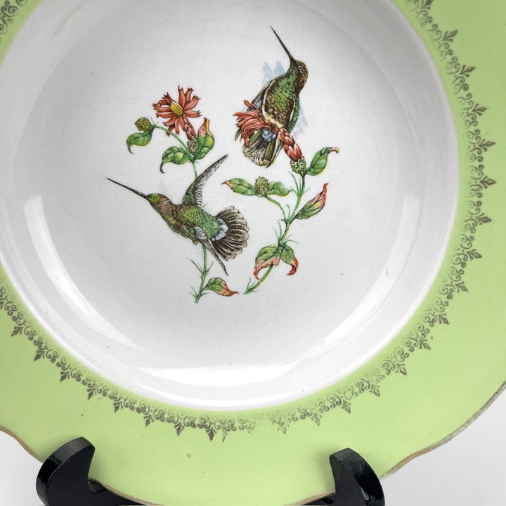 Lot d'assiettes creuses Lunéville Badonviller motifs oiseaux exotiques d'après John Gould