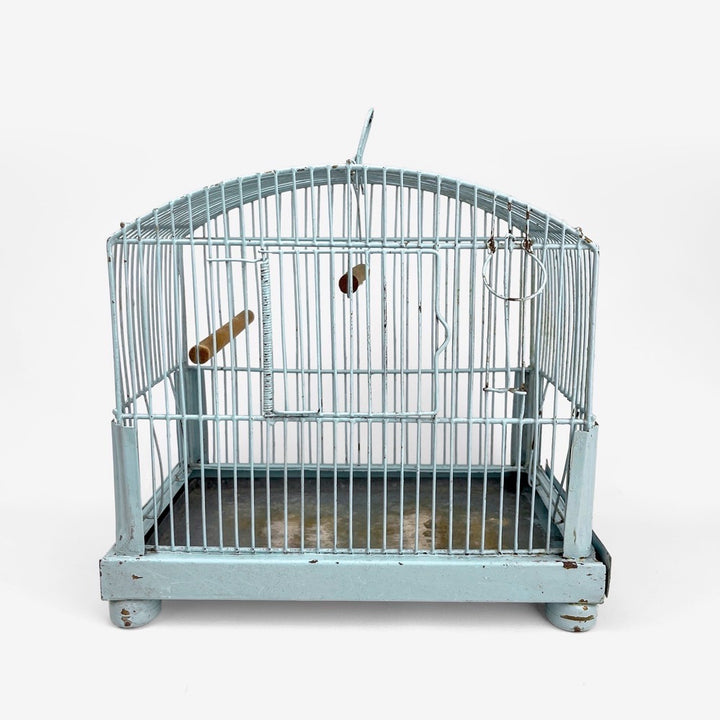 Ancienne cage à oiseau métal bleu ciel