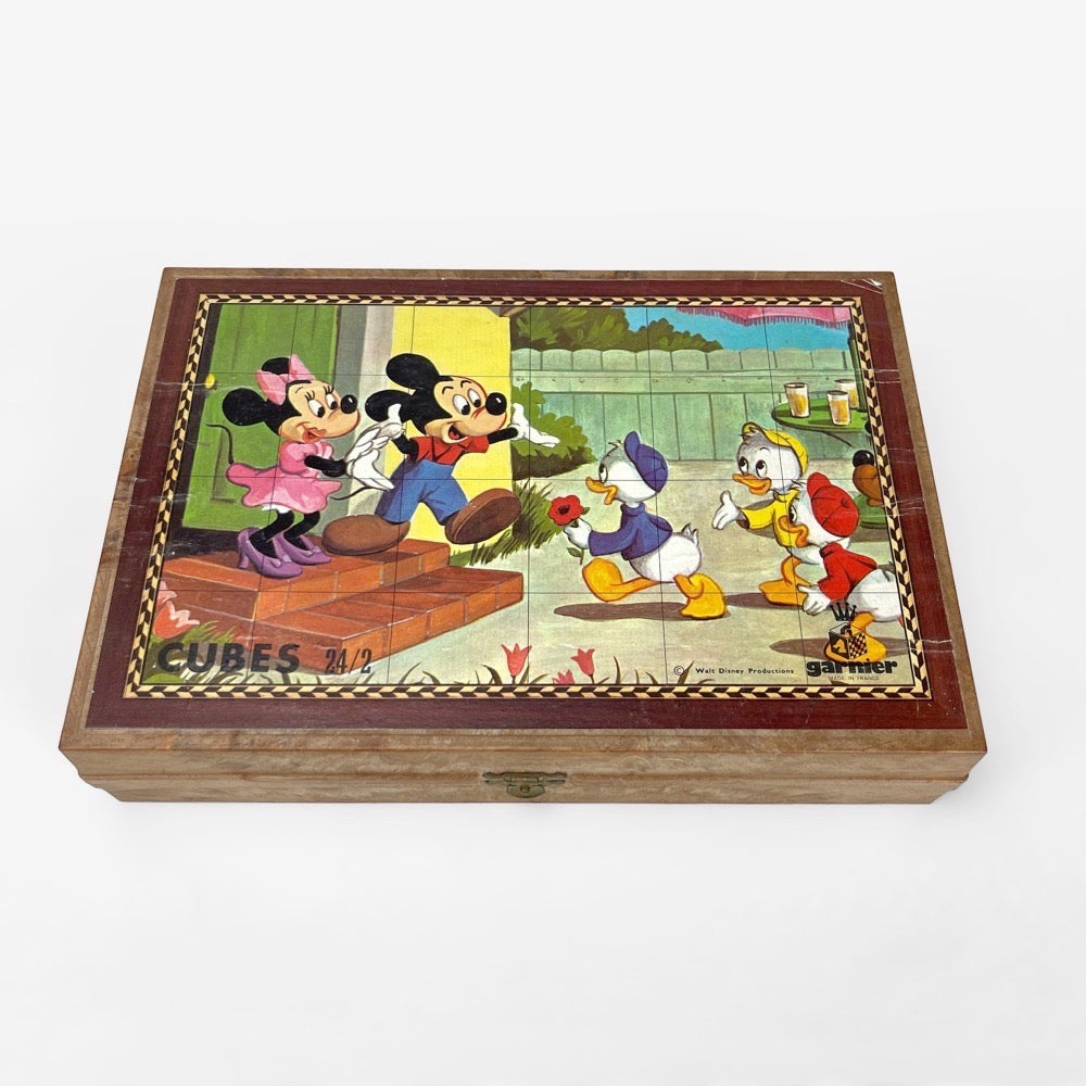 Boîte de 24 cubes en bois Garnier illustrations Walt Disney