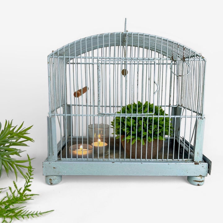 Ancienne cage à oiseau métal bleu ciel