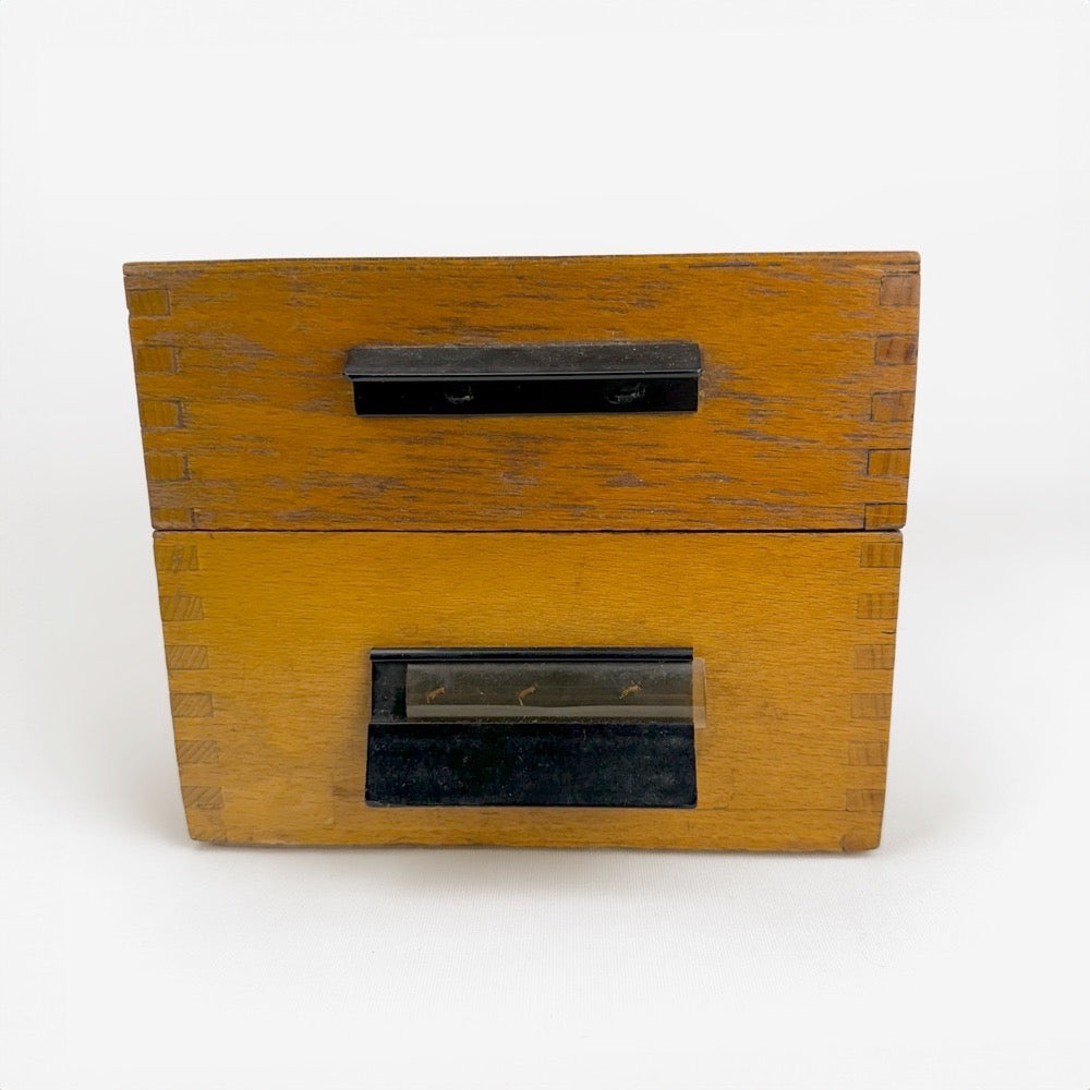 Ancienne boîte à fiches scolaire
