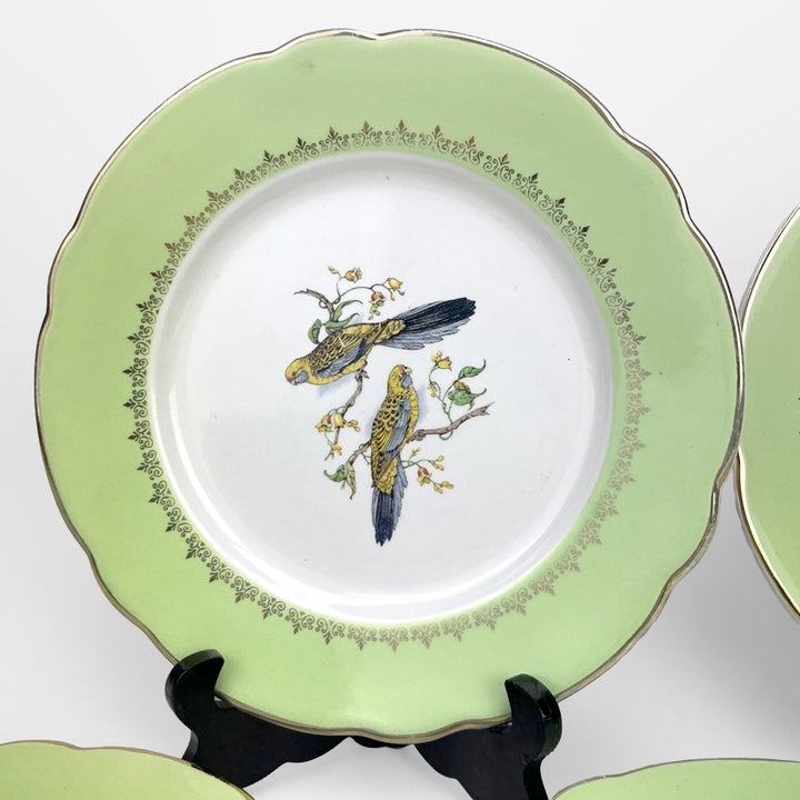 Lot d'assiettes plates Lunéville Badonviller motifs oiseaux exotiques d'après John Gould