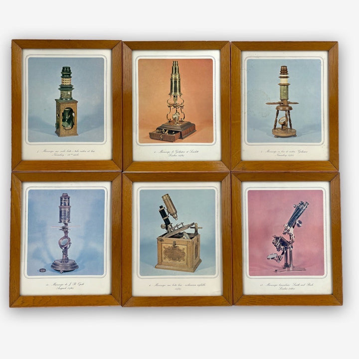 Série de 6 photos de microscopes anciens encadrement bois