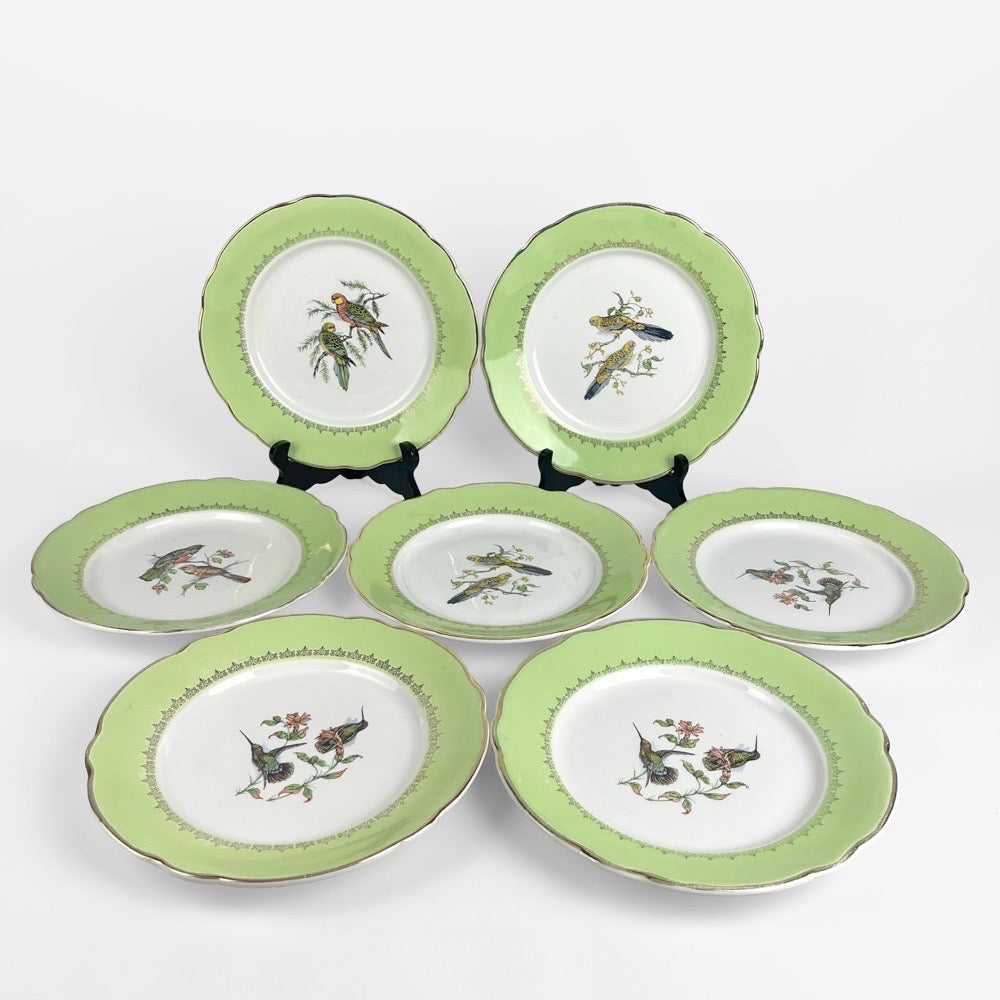 Lot d'assiettes plates Lunéville Badonviller motifs oiseaux exotiques d'après John Gould