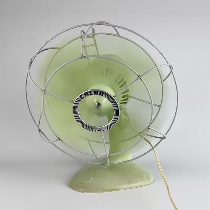Ventilateur Calor Bivolt vert pastel années 50