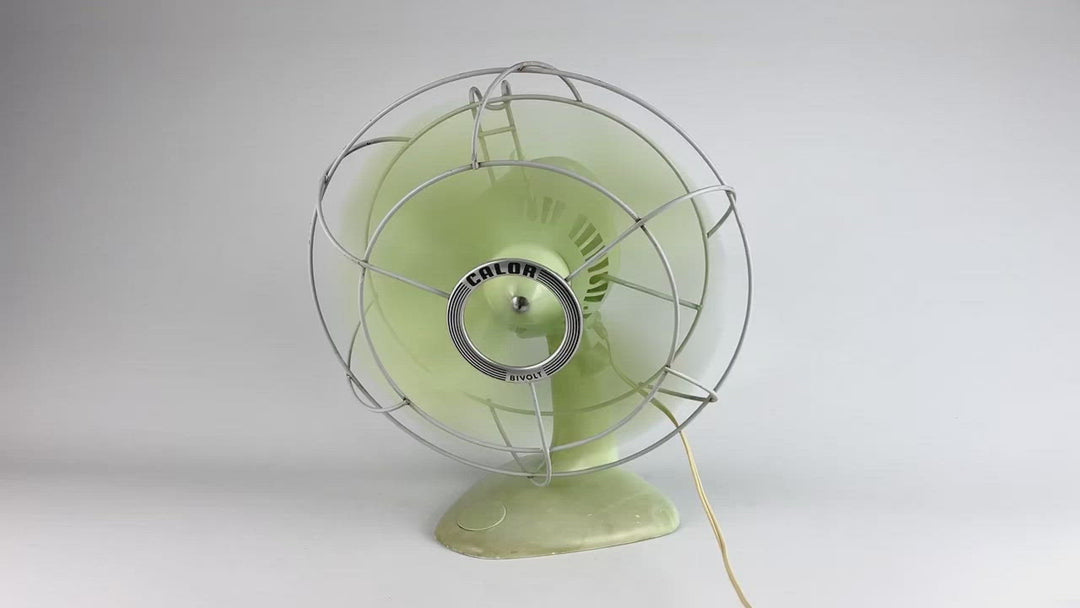 Ventilateur Calor Bivolt vert pastel années 50
