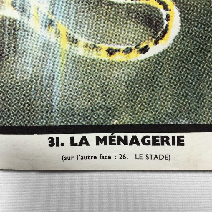 Tableau pédagogique "LA MÉNAGERIE" et "LE STADE"