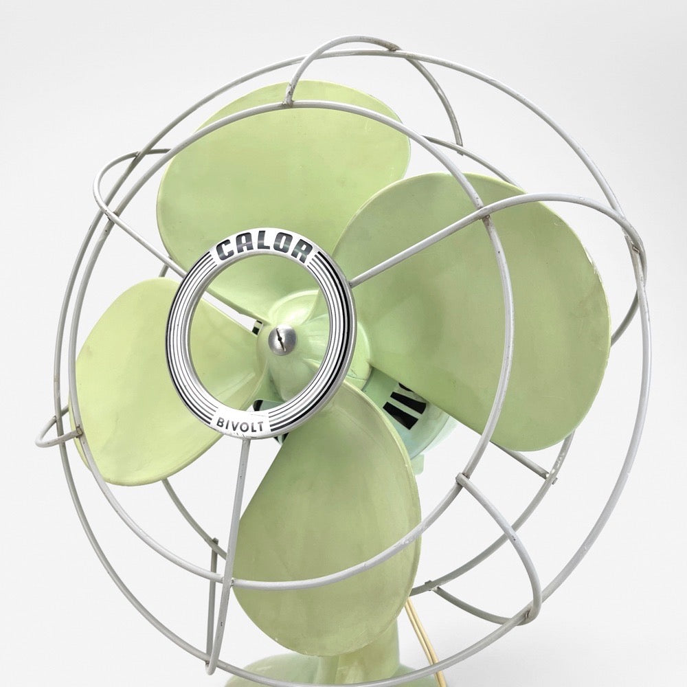 Ventilateur Calor Bivolt vert pastel années 50