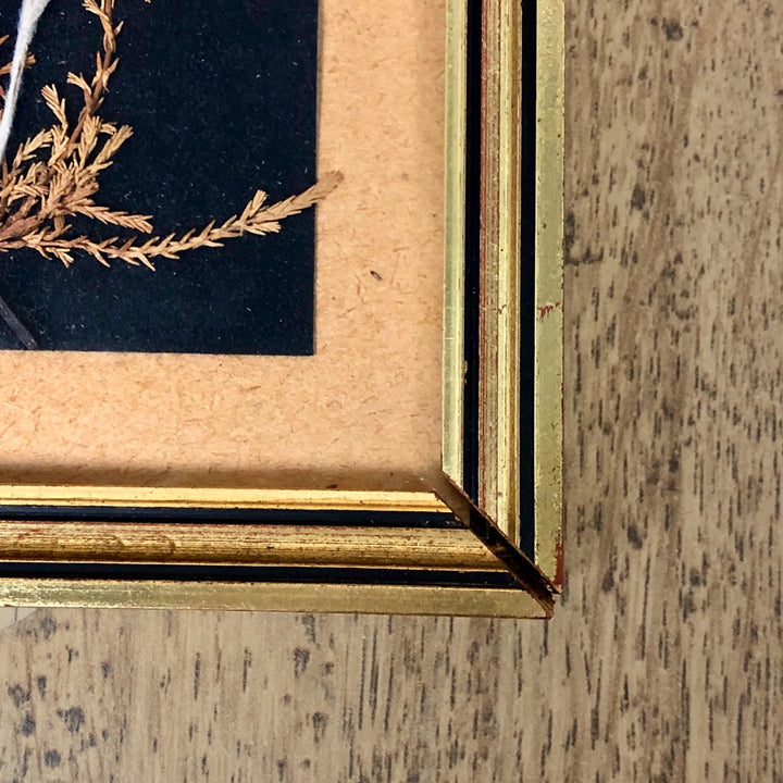 Cadre façon herbier