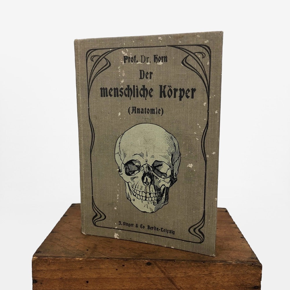 Livre d'anatomie des années 1900 Allemagne