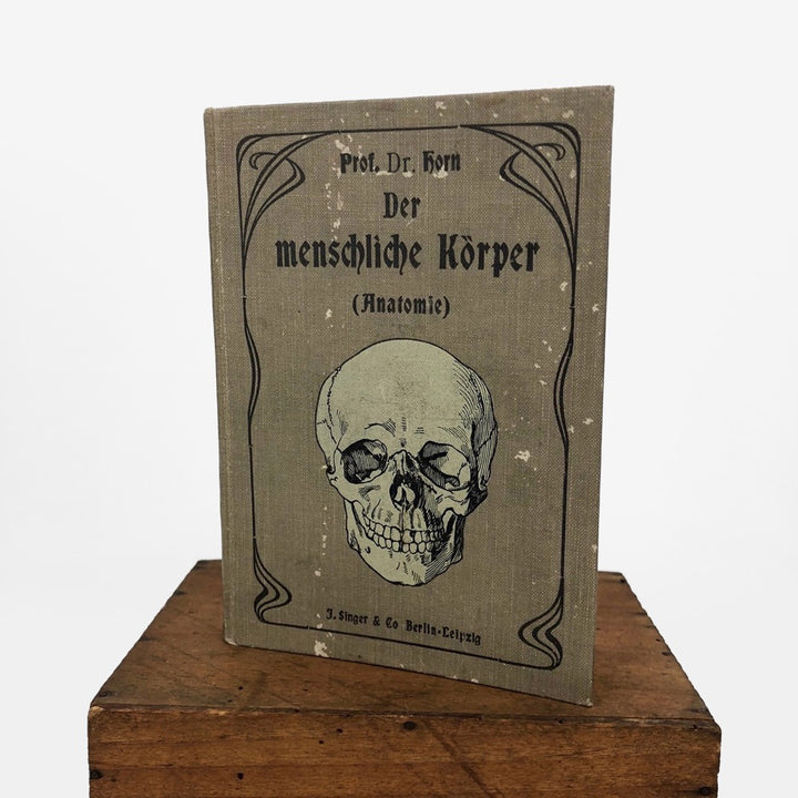 Livre d'anatomie des années 1900 Allemagne