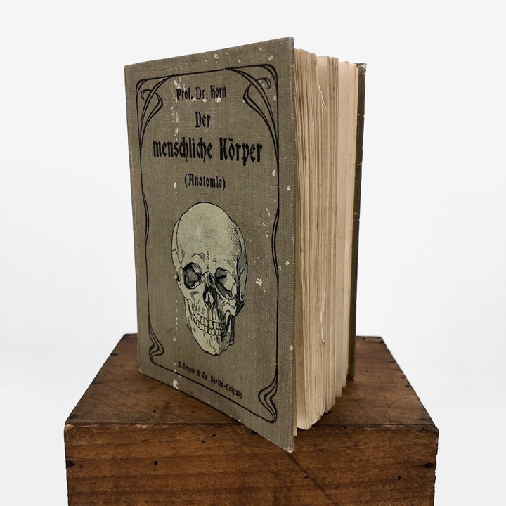 Livre d'anatomie des années 1900 Allemagne