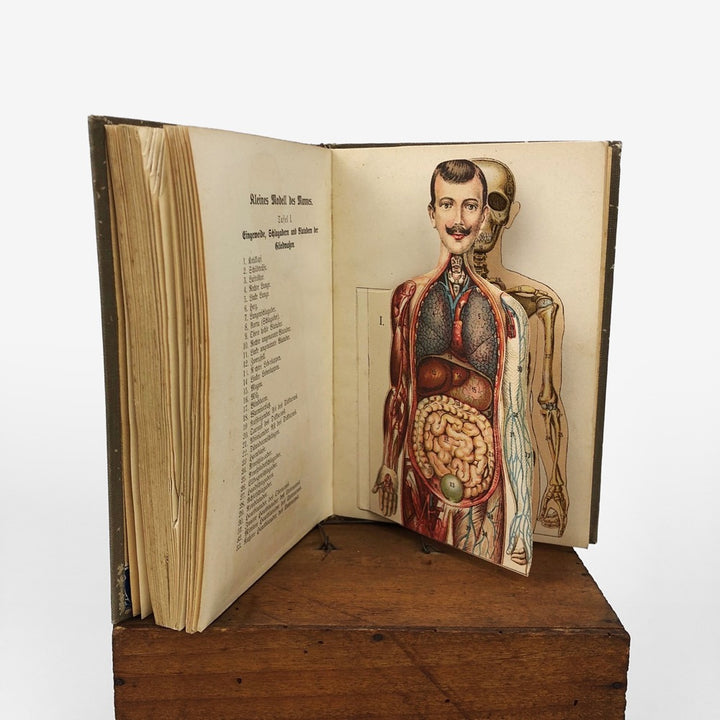 Livre d'anatomie des années 1900 Allemagne