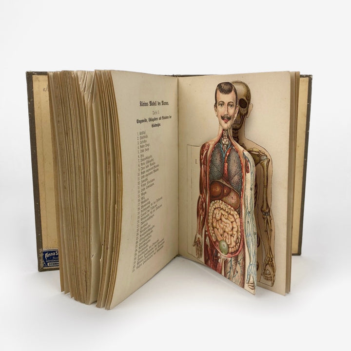 Livre d'anatomie des années 1900 Allemagne