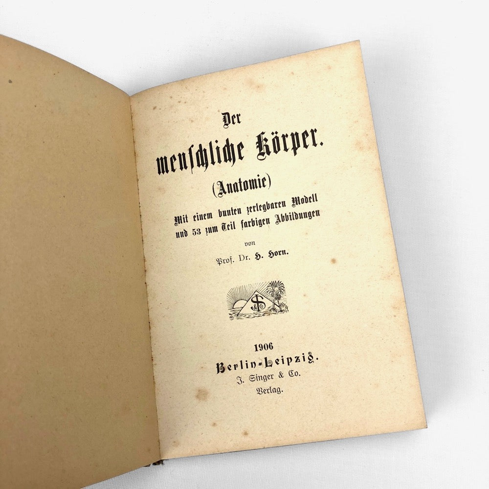 Livre d'anatomie des années 1900 Allemagne