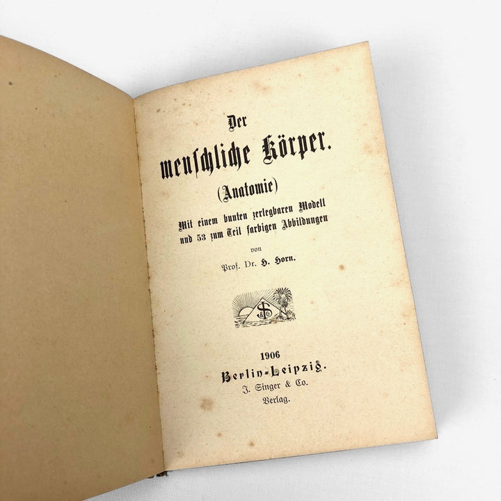 Livre d'anatomie des années 1900 Allemagne