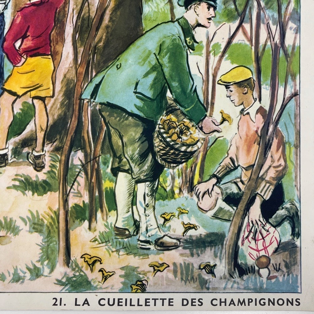 Affiche Rossignol "Un camarade blessé" et "La cueillette des champignons"