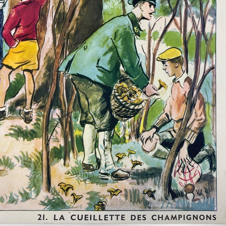 Affiche Rossignol "Un camarade blessé" et "La cueillette des champignons"