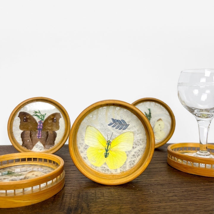 Sous-verres papillon années 60