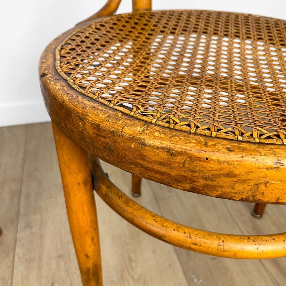 Paire de chaises bistrot cannées Mundus Ungvar Ungarn 1900