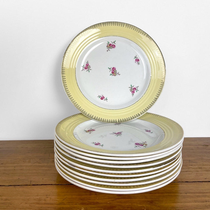 Ensemble d'assiettes plates Céranord Saint-Amand "Dany"