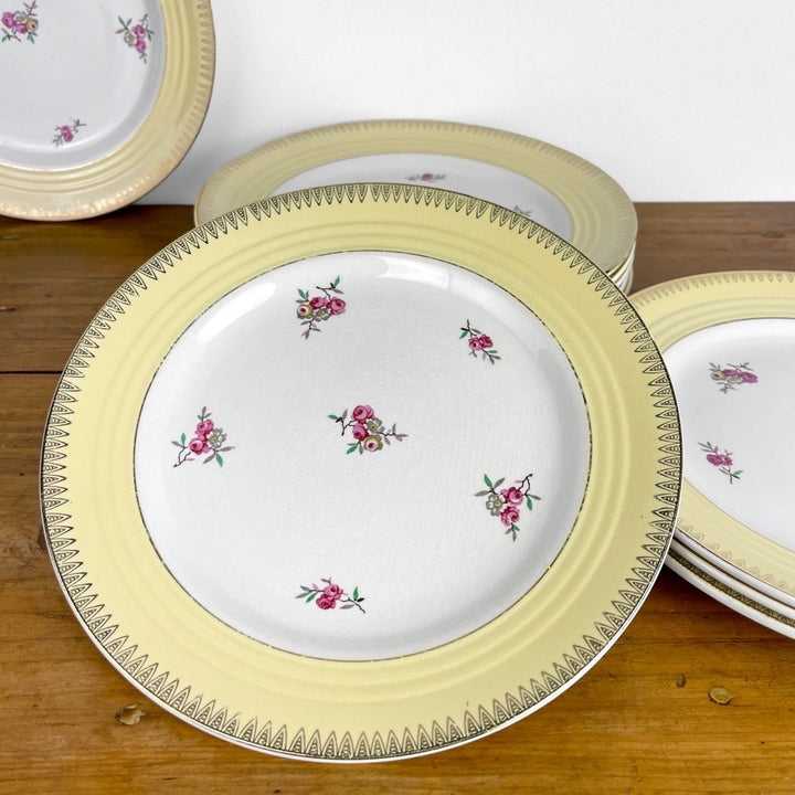 Ensemble d'assiettes plates Céranord Saint-Amand "Dany"