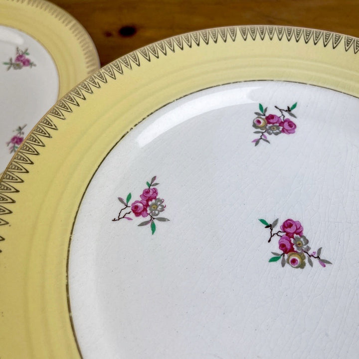 Ensemble d'assiettes plates Céranord Saint-Amand "Dany"